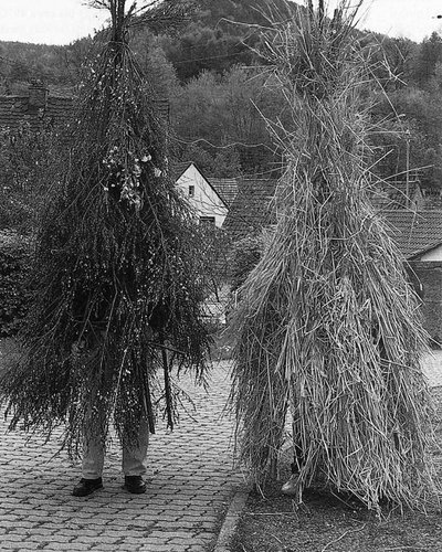 Bräuche und Feste im Jahreslauf: Der Pfingstquack